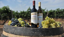 А6. Авиатур в Азербайджан. Винный тур: Баку-Шемаха.-400183285