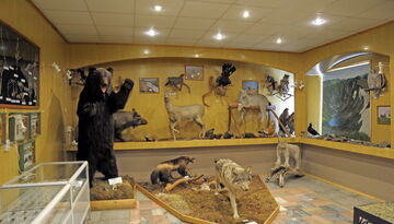 Новогодняя Беловежская пуща-1301070686