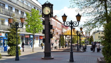 Брест—Пуща-1311958024