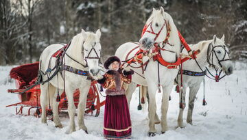 Рождественская весточка из Сулы-763541432