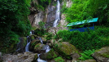 Авиатур: Мелодия Грузинского прибоя -616033034