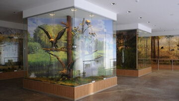 Новогодняя Беловежская пуща-2121160713