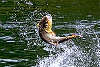 Ловля рыбы в Карелии