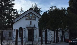 Отель «Олд Питиус» (Пицунда)-1101305758