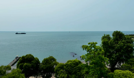 Отель «Амза» (Сухум)-2036044120