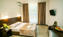 Отель «Гости Кавказа» (Цандрипш)-1224514657