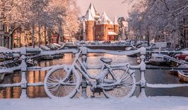 Новый год в Амстердаме-1502033652