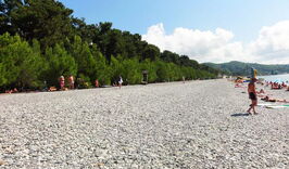 Отель «Шармат» (Пицунда)-618052743