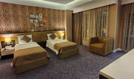 Parkway Inn Hotel 3* (Баку)-182483360
