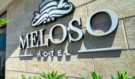 Отель "Meloso" (Кобулети)-1697677561