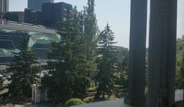 Вид из окна санатория "Молдова"