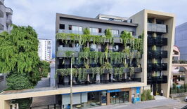 Авиатур в Кобулети. Отель "Bamboo Garden" (отдых на море)-844654254