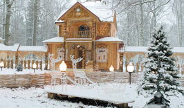 Новогодняя Беловежская пуща-1218313789