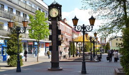 Брест—Пуща с Поместьем Деда Мороза-832677948