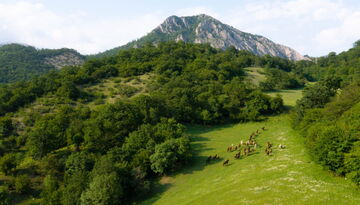 Безупречное сочетание: Армения + Грузия-2036397021