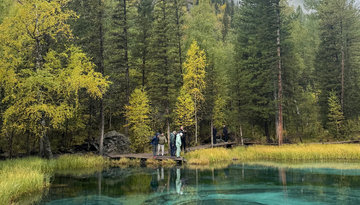Осенний Алтай. Авиатур-1603450670