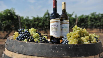 А7. Авиатур в Азербайджан. Вкусная тарелка.-90337191