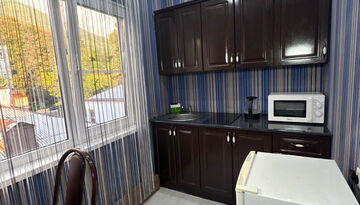 Гостевой дом "Изумрудный" в г. Гагра на поезде-1792075816