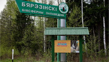 Цветение лаванды и Березинский заповедник-1345039937