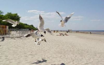 пляж Юрмалы